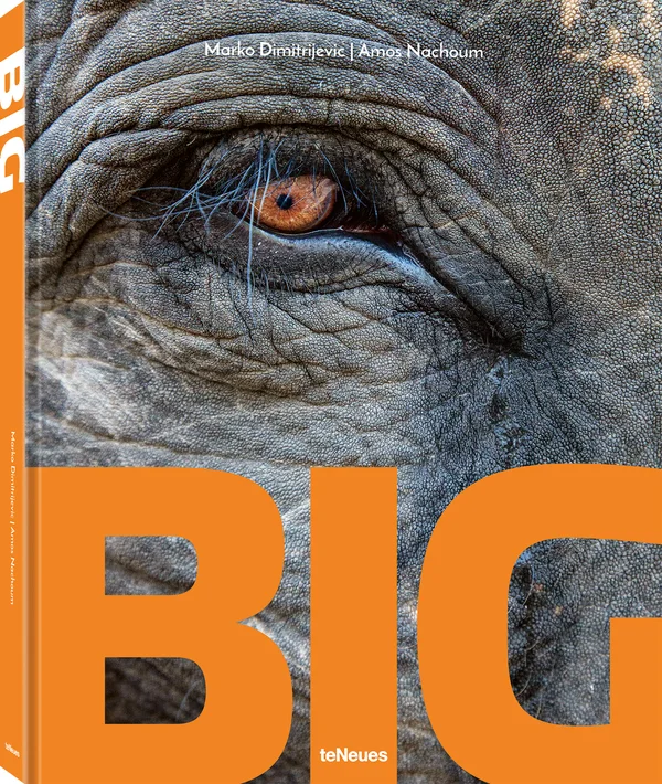 Big by Marko Dimitrijevic/Amos Nachoum