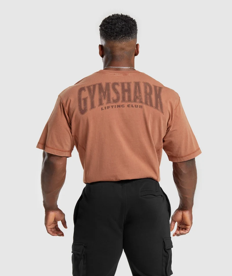 Gymshark Heritage Washed T-Shirt - Canyon Brown/Acid Wash Small Ball