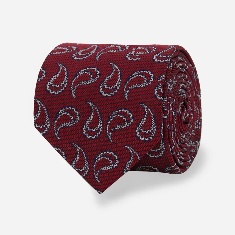 Astor Paisley Burgundy Tie