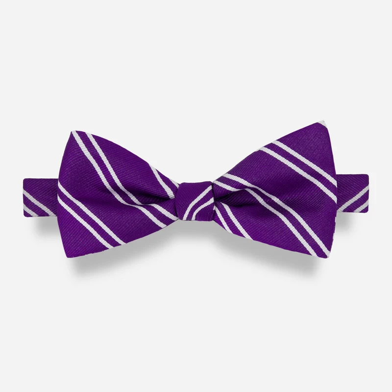 Alma Mater Heritage The Rock Stripe Purple Bow Tie