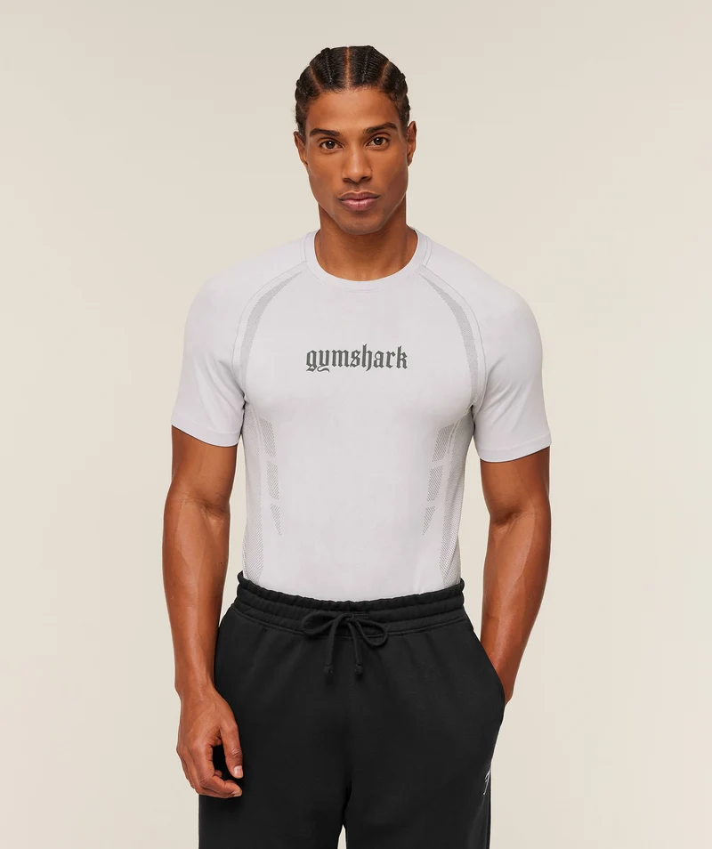 Gymshark Grunge Seamless T-Shirt - Metal Grey/Silver Grey