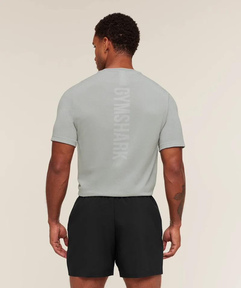 Gymshark Lightweight Seamless T-Shirt - Denim Grey/Light Grey