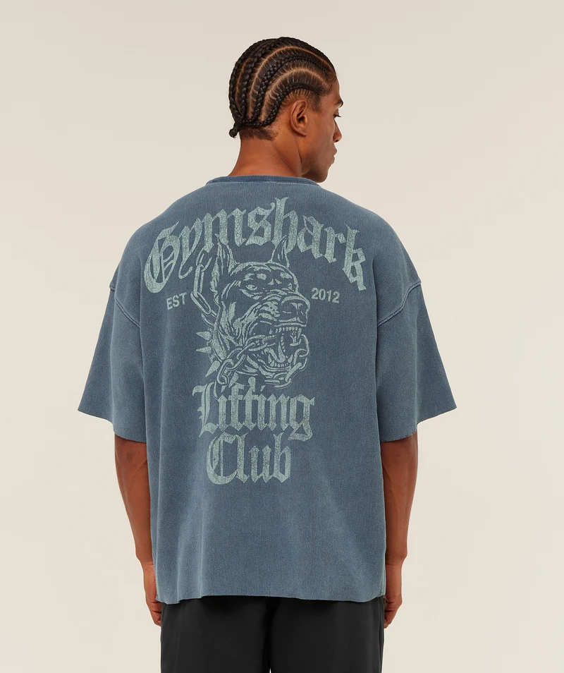 Gymshark Heavyweight Textured Graphic T-Shirt - Heavy Blue