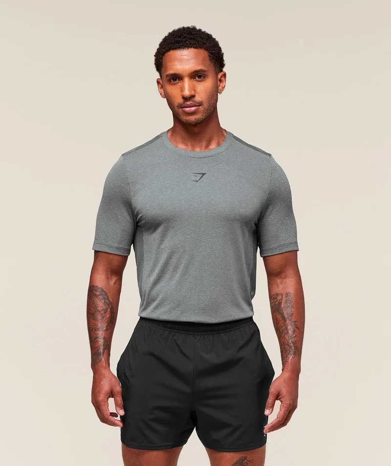 Gymshark Lightweight Seamless T-Shirt - Light Grey/Smokey Grey