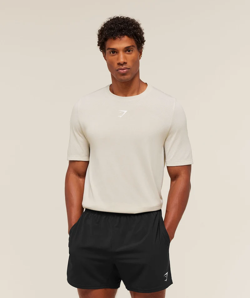 Gymshark Lightweight Seamless T-Shirt - Pebble Grey/White