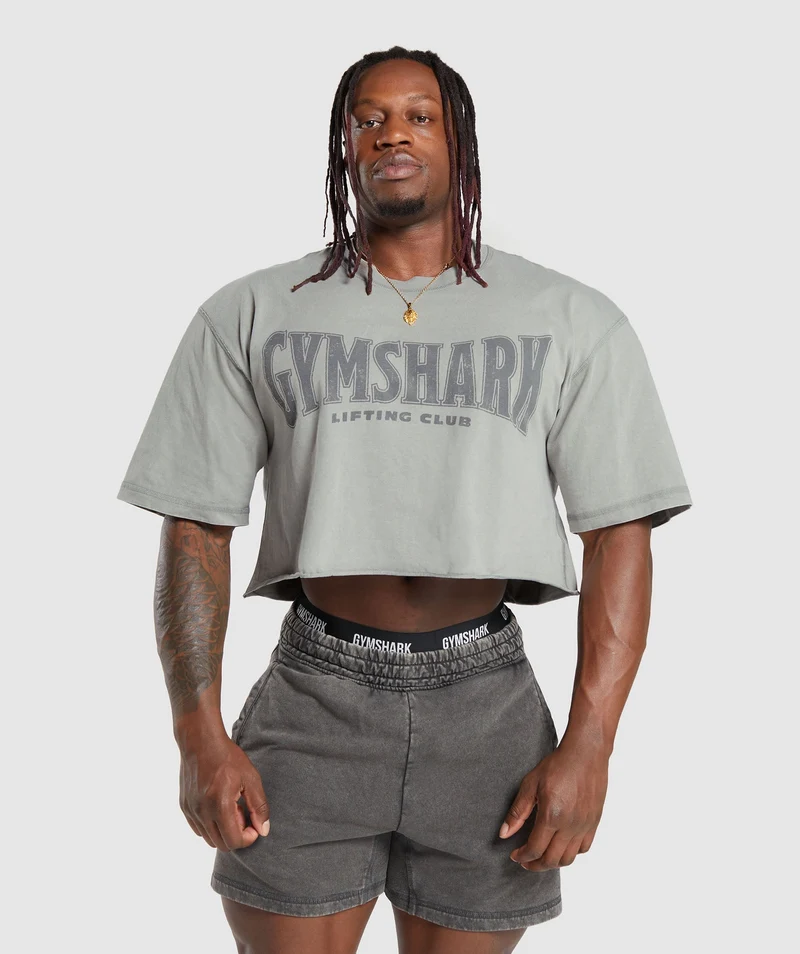 Gymshark Heritage Washed Crop T-Shirt - Smokey Grey/Acid Wash Small Ball