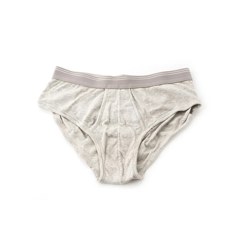 Light Grey Briefs