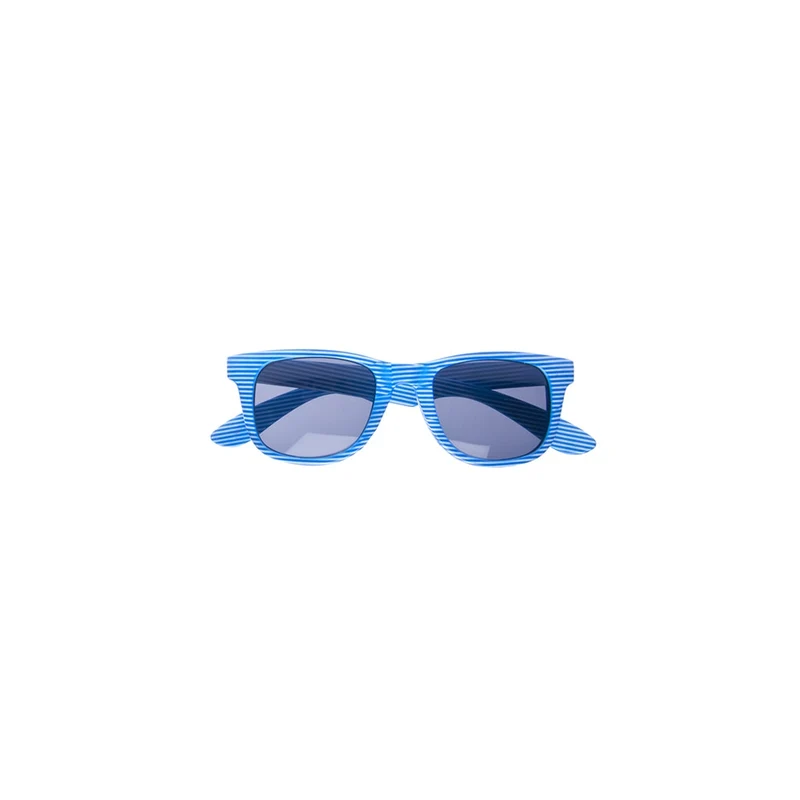 Wayfarer Sunglasses