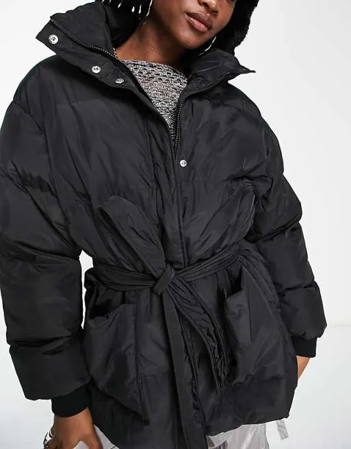 Black Belted Puffer